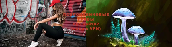 мдпв Горно-Алтайск